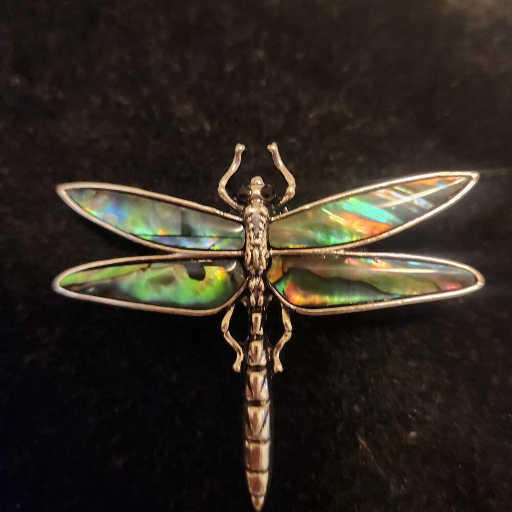 Vintage Beautiful Abalone Dragon Fly Brooch Pendant
